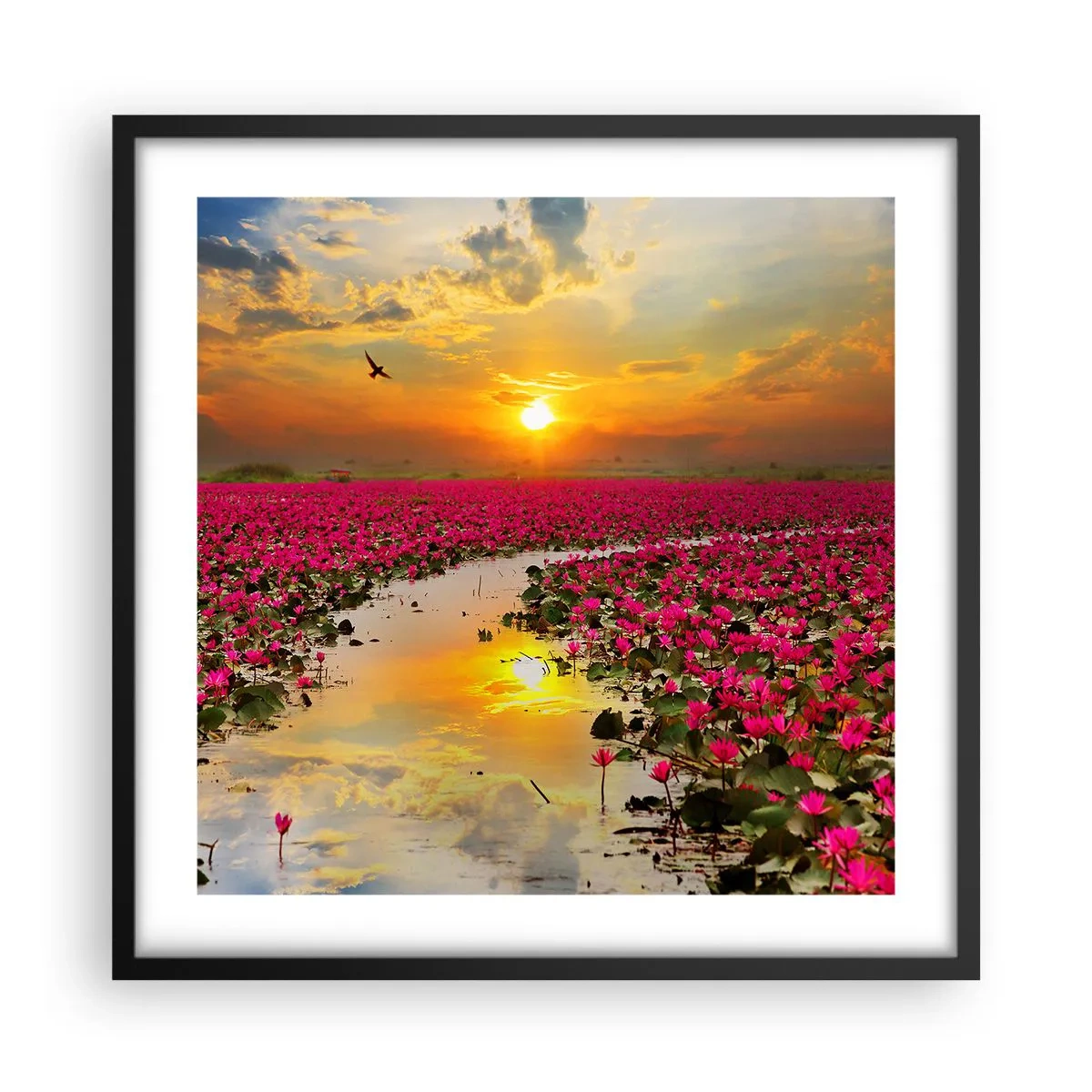 Póster en marco negro - La vida secreta del lago - 50x50 cm