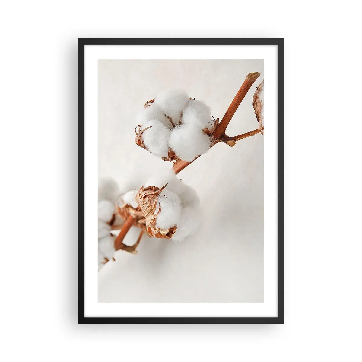 Póster en marco negro - Delicadas ramitas de algodón sobre un fondo claro. - 50x70cm - Un suave tacto - Decoración de pared moderna para salón y dormitorio ARTTOR