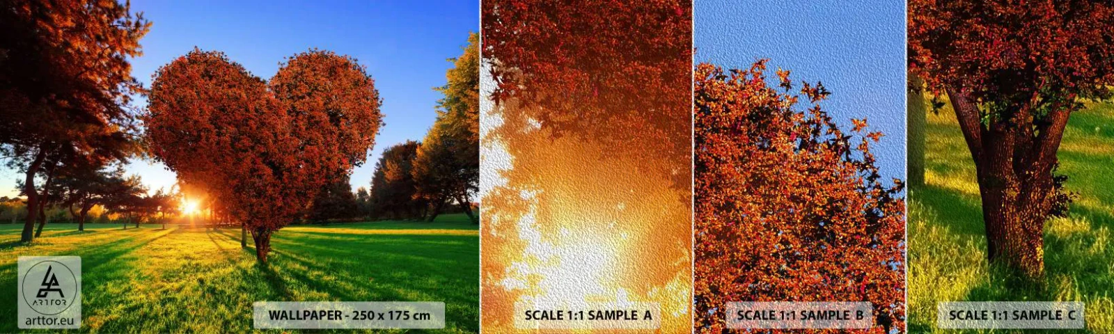 Muestra de fotomural Premium Sand - Y cómo no amar el otoño - Paisaje, Árbol, Rayos del sol - 100x30 cm