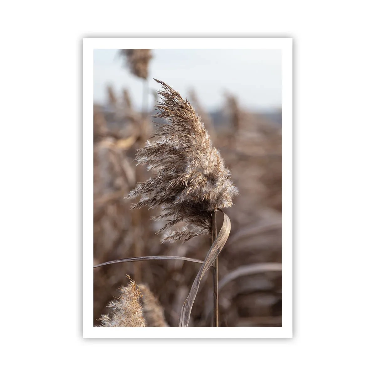 Póster - Es hora de volar con el viento - 70x100 cm