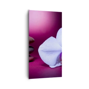 Cuadro sobre lienzo - Impresión de Imagen - Estudio de frescura en violeta - 65x120 cm