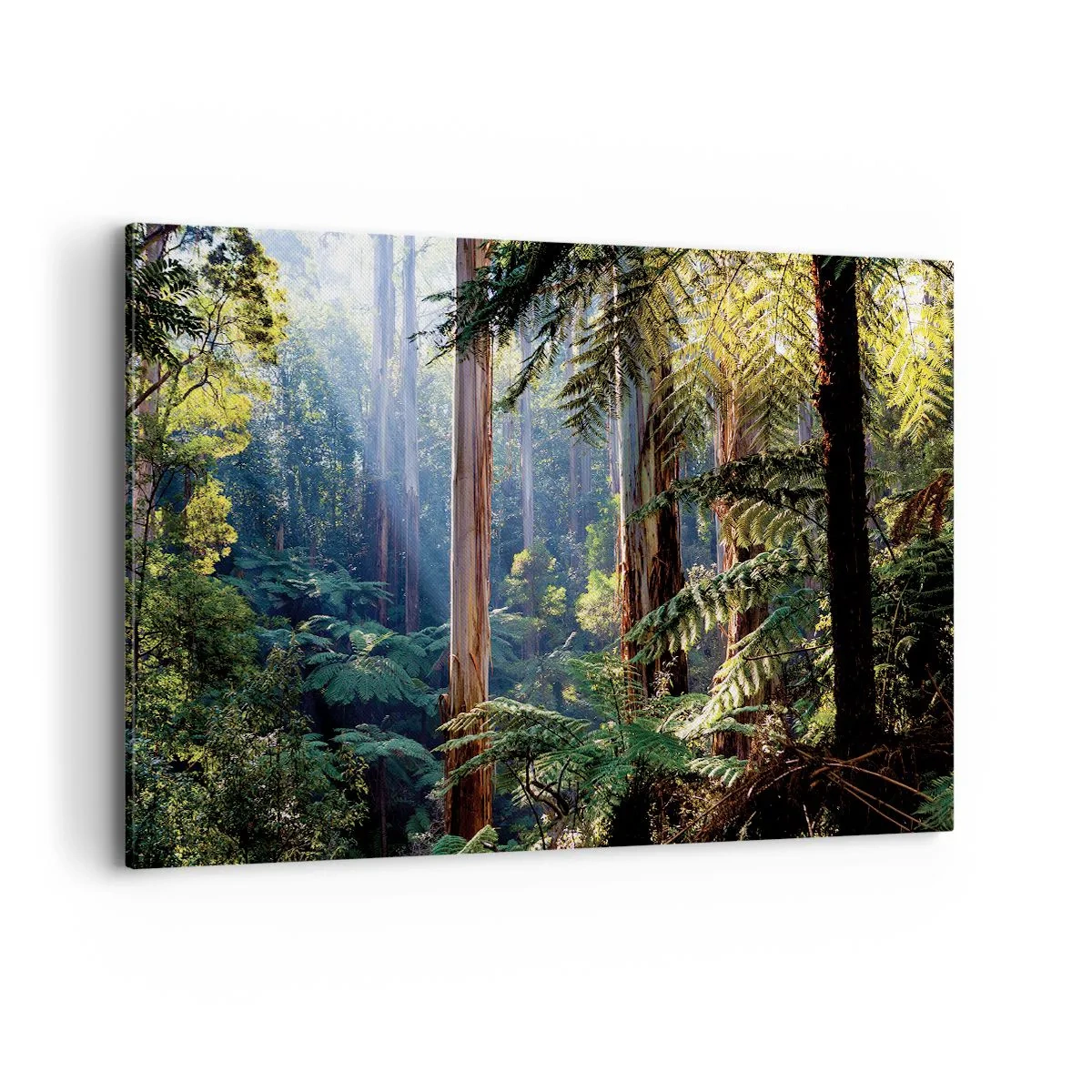 Cuadro sobre lienzo - Impresión de Imagen - Bosque tropical iluminado por los rayos del sol - 120x80cm - Un cuento de hadas del bosque - Decoración de pared moderna para salón y dormitorio ARTTOR