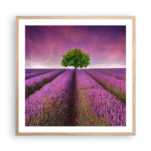 Póster en marco roble claro - En los campos de lavanda - 60x60 cm