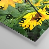 Esfera con numeración