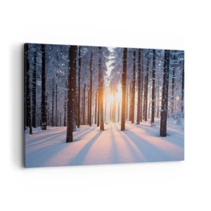 Cuadro sobre lienzo - Impresión de Imagen - Bosque invernal iluminado por los rayos del sol. - 100x70cm - Claramente en blanco y negro - Decoración de pared moderna para salón y dormitorio ARTTOR