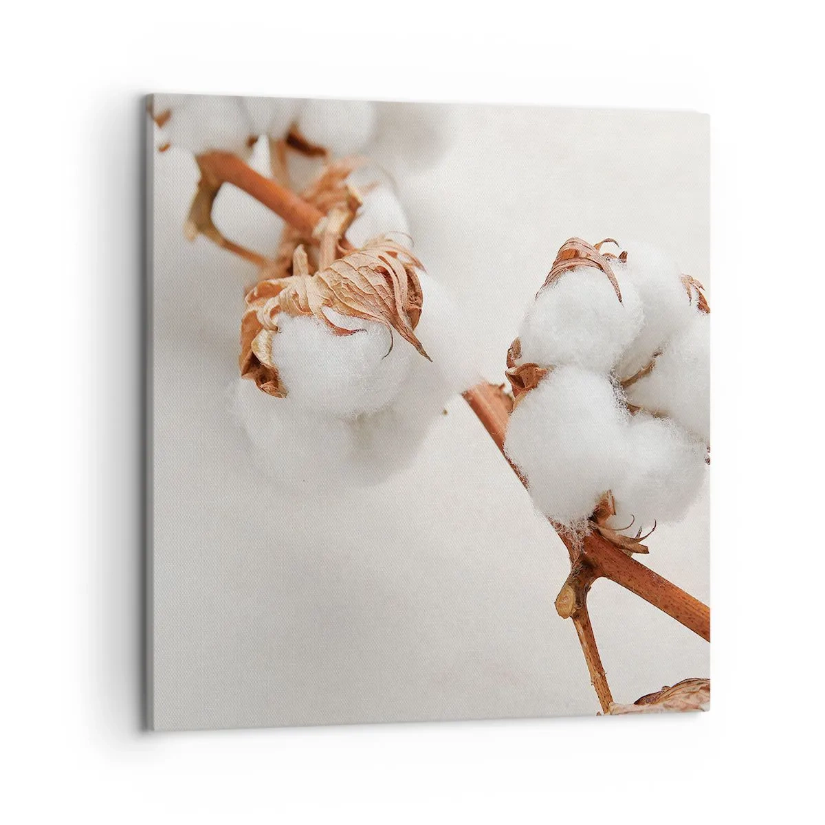 Cuadro sobre lienzo - Impresión de Imagen - Un suave tacto - 50x50 cm