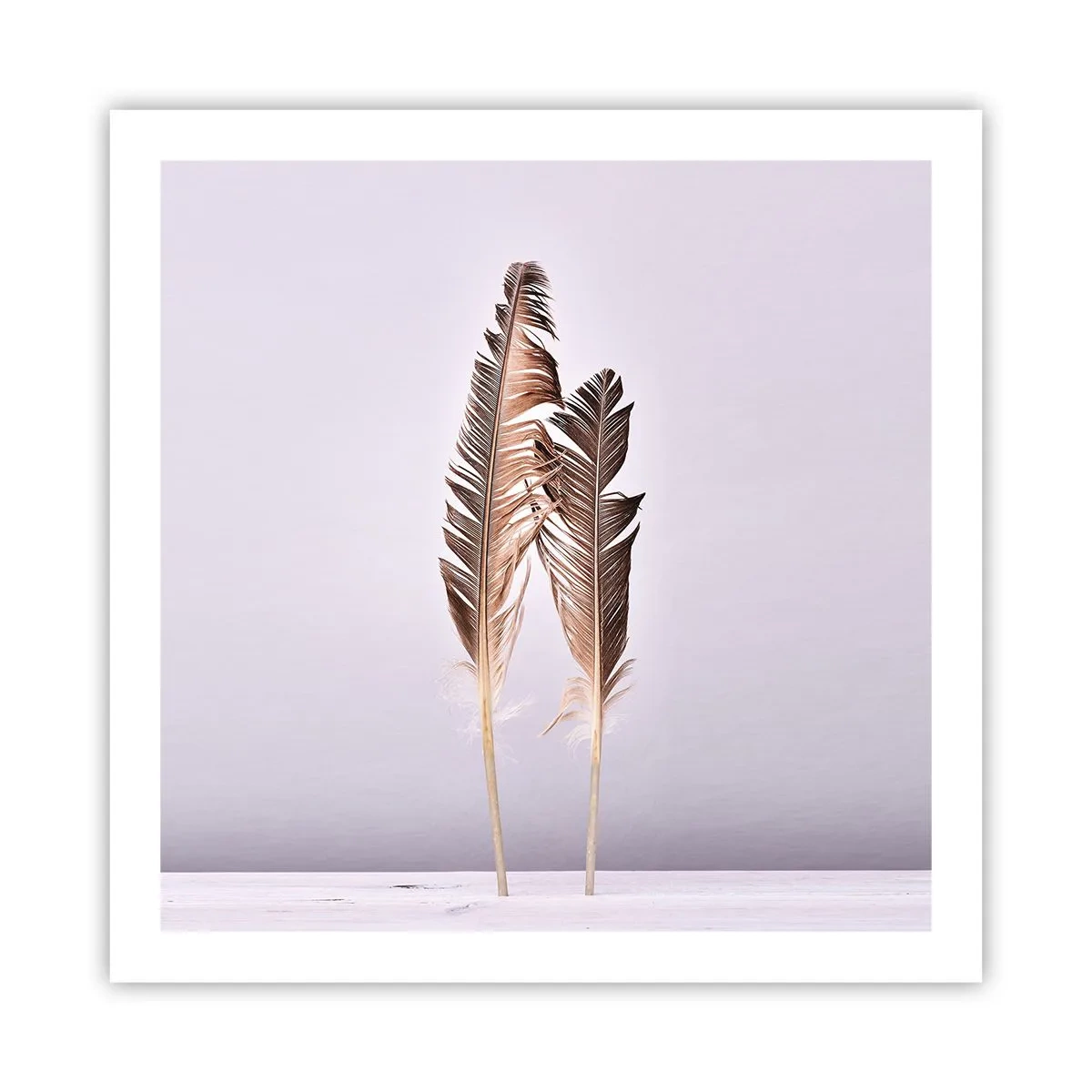 Póster - Contra la nada - 60x60 cm