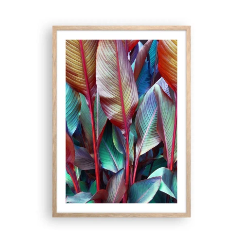 Póster en marco roble claro - Un matorral de colores - 50x70 cm
