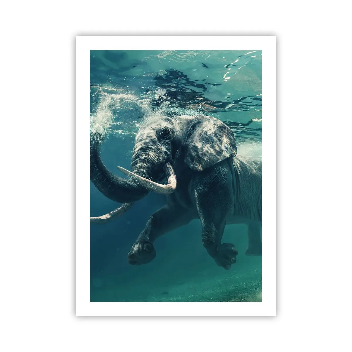 Póster - Un elefante nadando en aguas turquesas. - 50x70cm - A todos nos gusta nadar - Decoración de pared moderna para salón y dormitorio ARTTOR