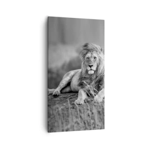 Cuadro sobre lienzo - Impresión de Imagen - La siesta real - 55x100 cm