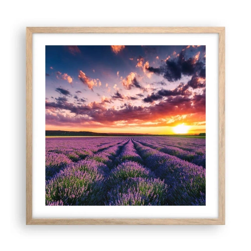Póster en marco roble claro - El mundo de la lavanda - 50x50 cm
