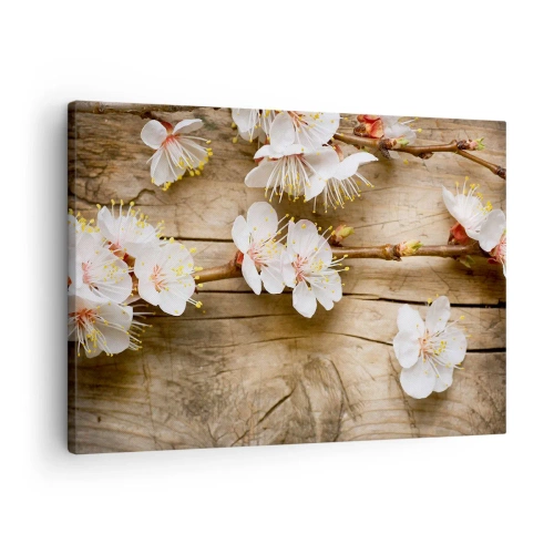 Cuadro sobre lienzo - Impresión de Imagen - Ramas de cerezos en flor sobre un fondo de tabla de madera - 70x50cm - Se acerca la primavera - Decoración de pared moderna para salón y dormitorio ARTTOR