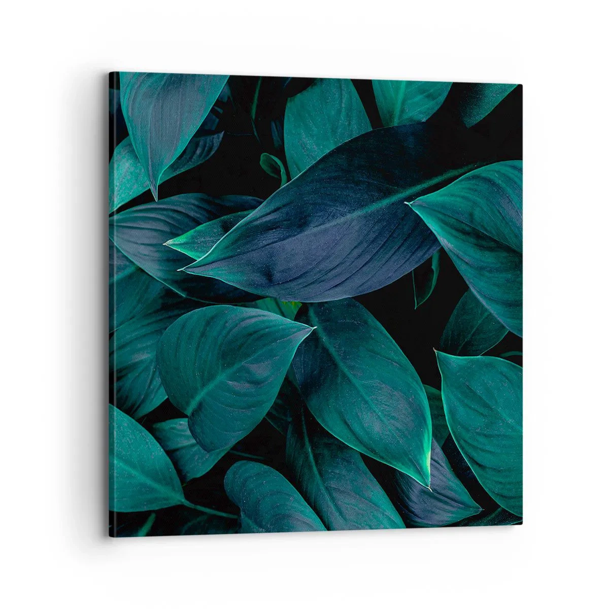 Cuadro sobre lienzo - Impresión de Imagen - El propio verde - 70x70 cm