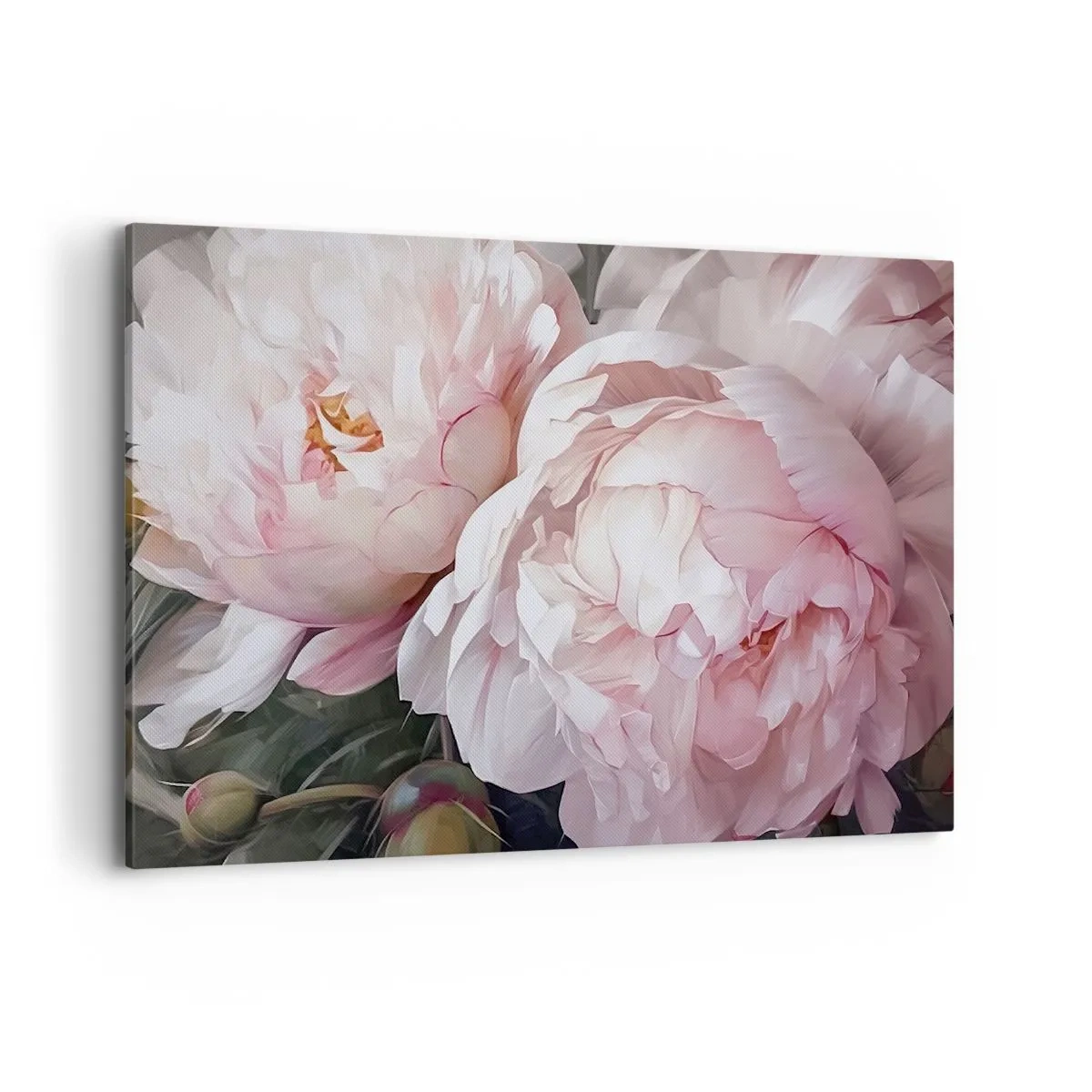 Cuadro sobre lienzo - Impresión de Imagen - Delicadas peonías rosas en plena floración. - 120x80cm - En flor - Decoración de pared moderna para salón y dormitorio ARTTOR