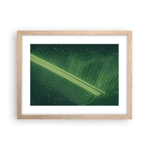 Póster en marco roble claro - Estructura del verde - 40x30 cm