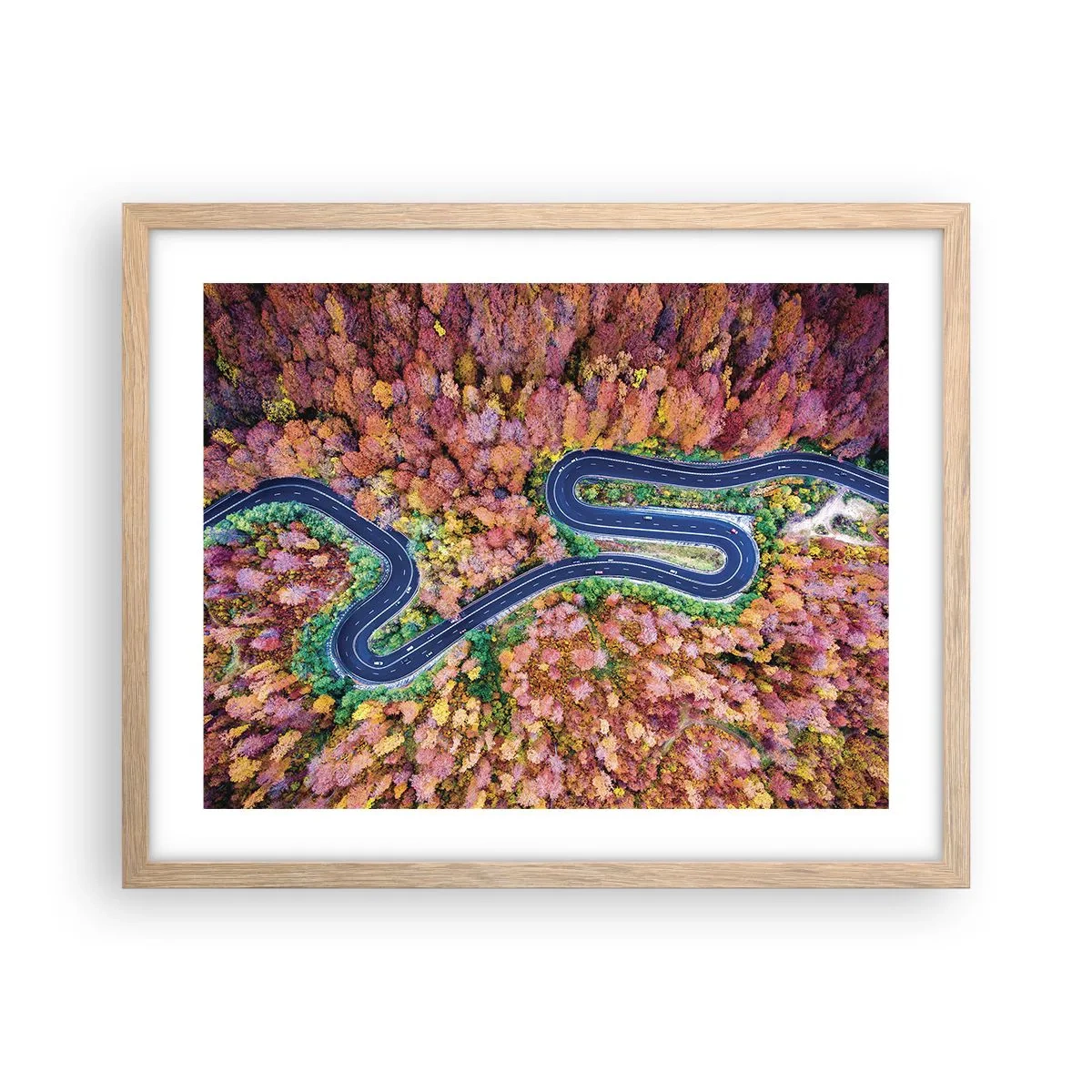 Póster en marco roble claro - Un camino sinuoso a través del bosque - 50x40 cm