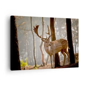 Cuadro sobre lienzo - Impresión de Imagen - Ciervos en el bosque en la niebla de la mañana. - 70x50cm - La luz de la juventud - Decoración de pared moderna para salón y dormitorio ARTTOR