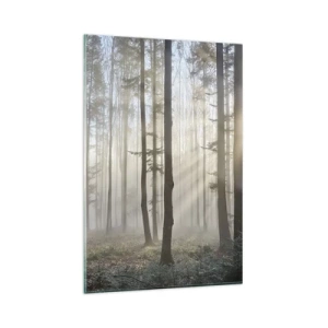 Cuadro sobre vidrio - Impresiones sobre Vidrio - Un bosque en medio de una ligera niebla con rayos de sol brillando a través de los árboles. - 80x120cm - La niebla también está despierta - Decoración de pared moderna para salón y dormitorio ARTTOR