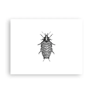 Póster - ¡Qué espécimen! - 40x30 cm