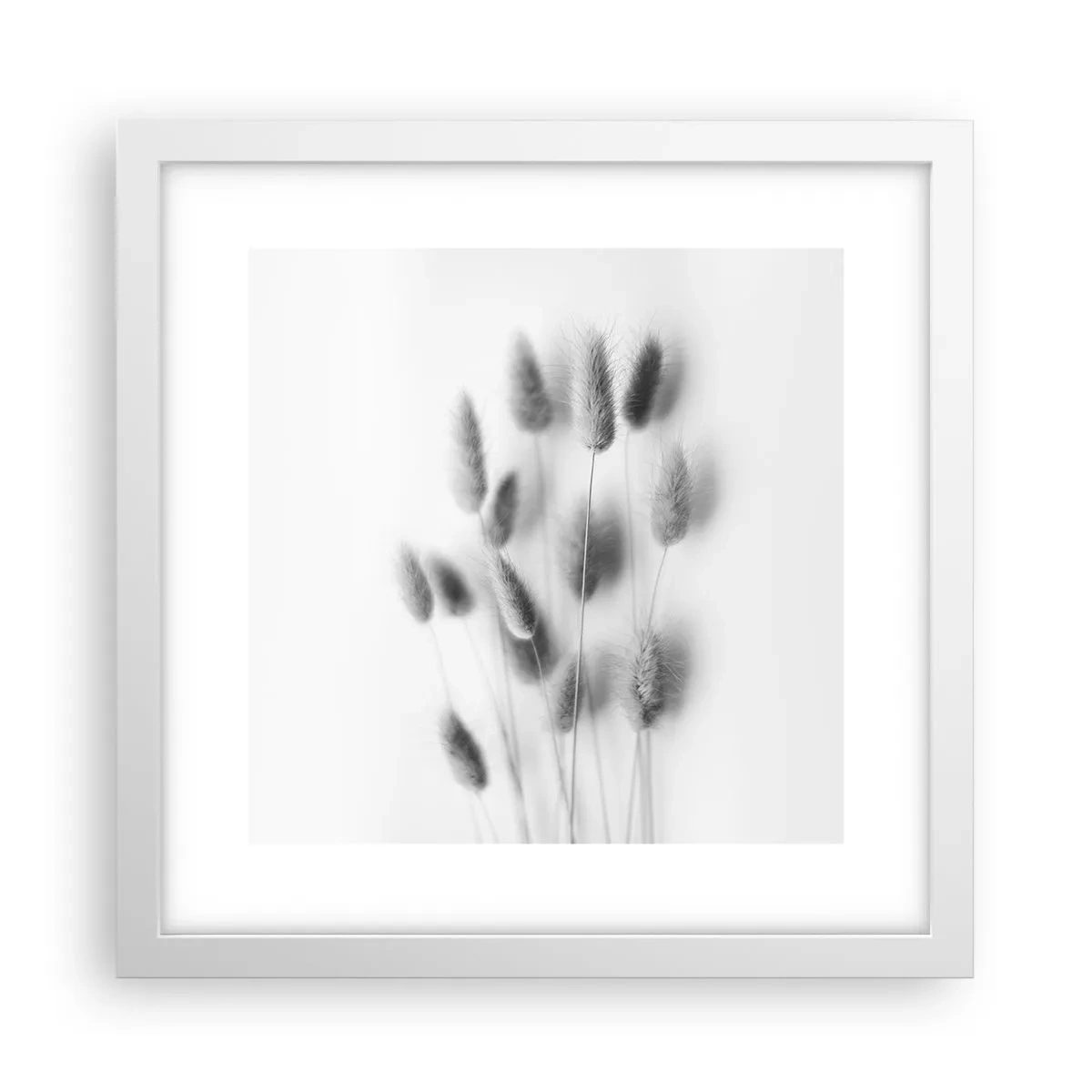 Póster en marco blanco - Esponjas naturales - 30x30 cm
