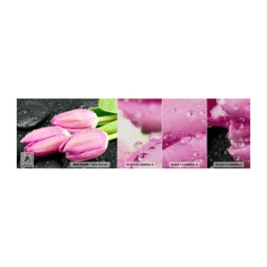 Muestra de fotomural Premium Sand - Lilas sobre piedra negra - flores, tulipanes, Ramo de flores - 100x30 cm