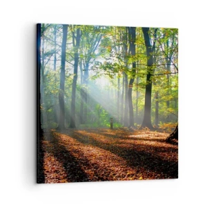 Cuadro sobre lienzo - Impresión de Imagen - Resplandores y sombras - 50x50 cm