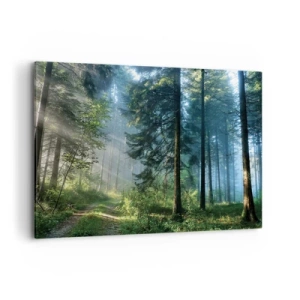 Cuadro sobre lienzo - Impresión de Imagen - Un sendero forestal iluminado por los rayos del sol de la mañana. - 100x70cm - Radiante por la mañana - Decoración de pared moderna para salón y dormitorio ARTTOR