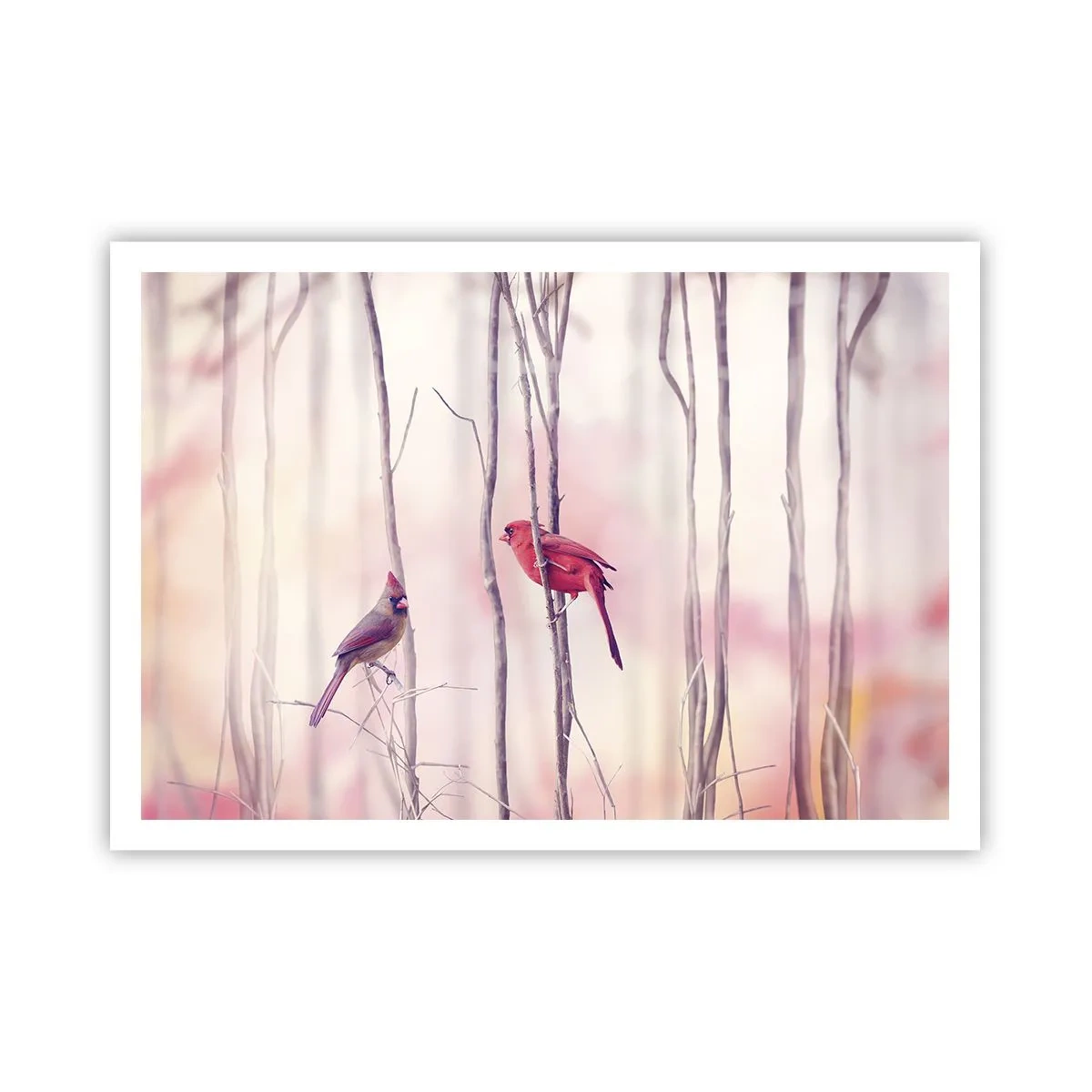 Póster - Una pareja de cardenales posados en las ramas en un paisaje pastel. - 100x70cm - Historia de un bosque rosa - Decoración de pared moderna para salón y dormitorio ARTTOR