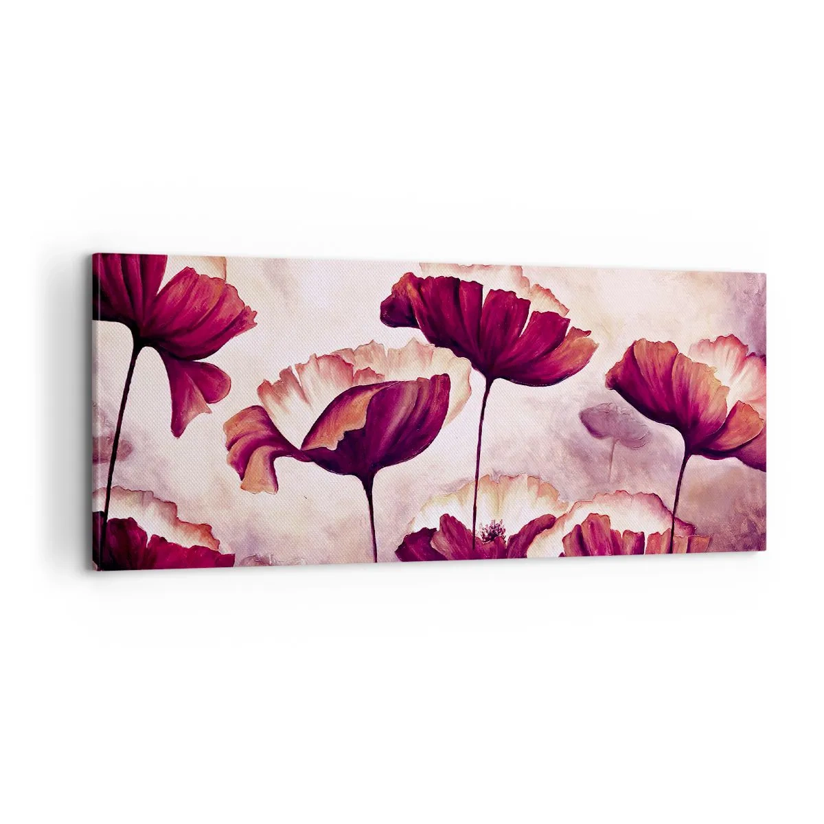 Cuadro sobre lienzo - Impresión de Imagen - Pétalo rojo y blanco - 100x40 cm