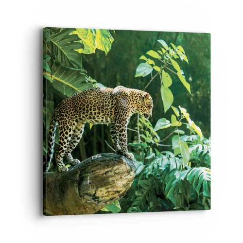 Cuadro sobre lienzo - Impresión de Imagen - ¿A la caza? - 30x30 cm
