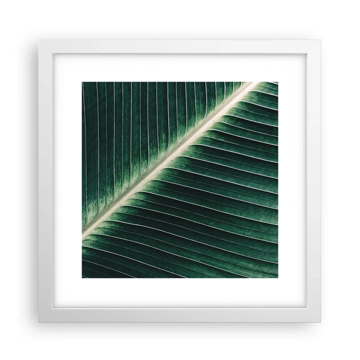 Póster en marco blanco - El ritmo de la naturaleza - 30x30 cm