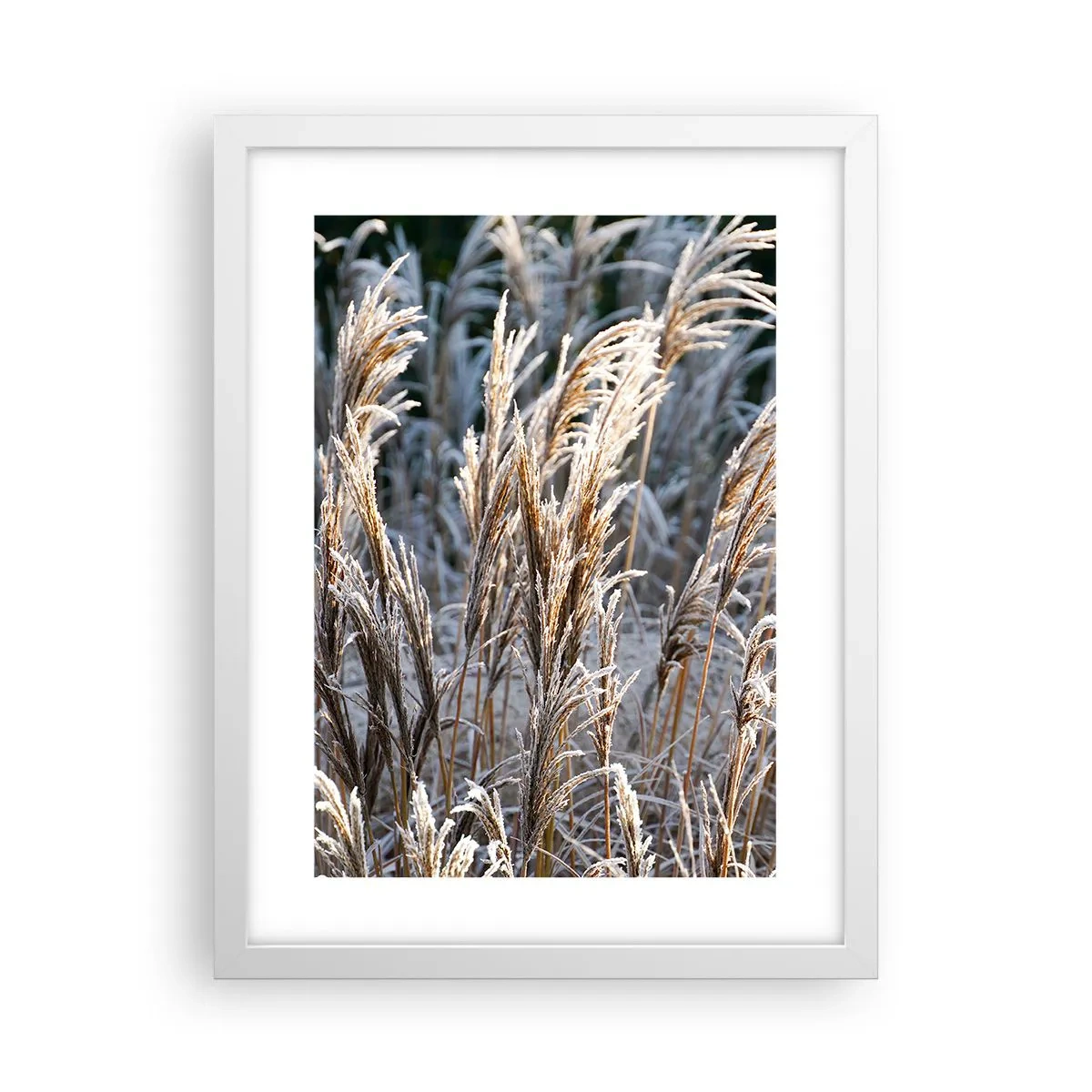 Póster en marco blanco - Campos y campos - 30x40 cm