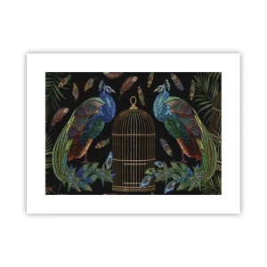 Póster - Con plumajes reales - 40x30 cm