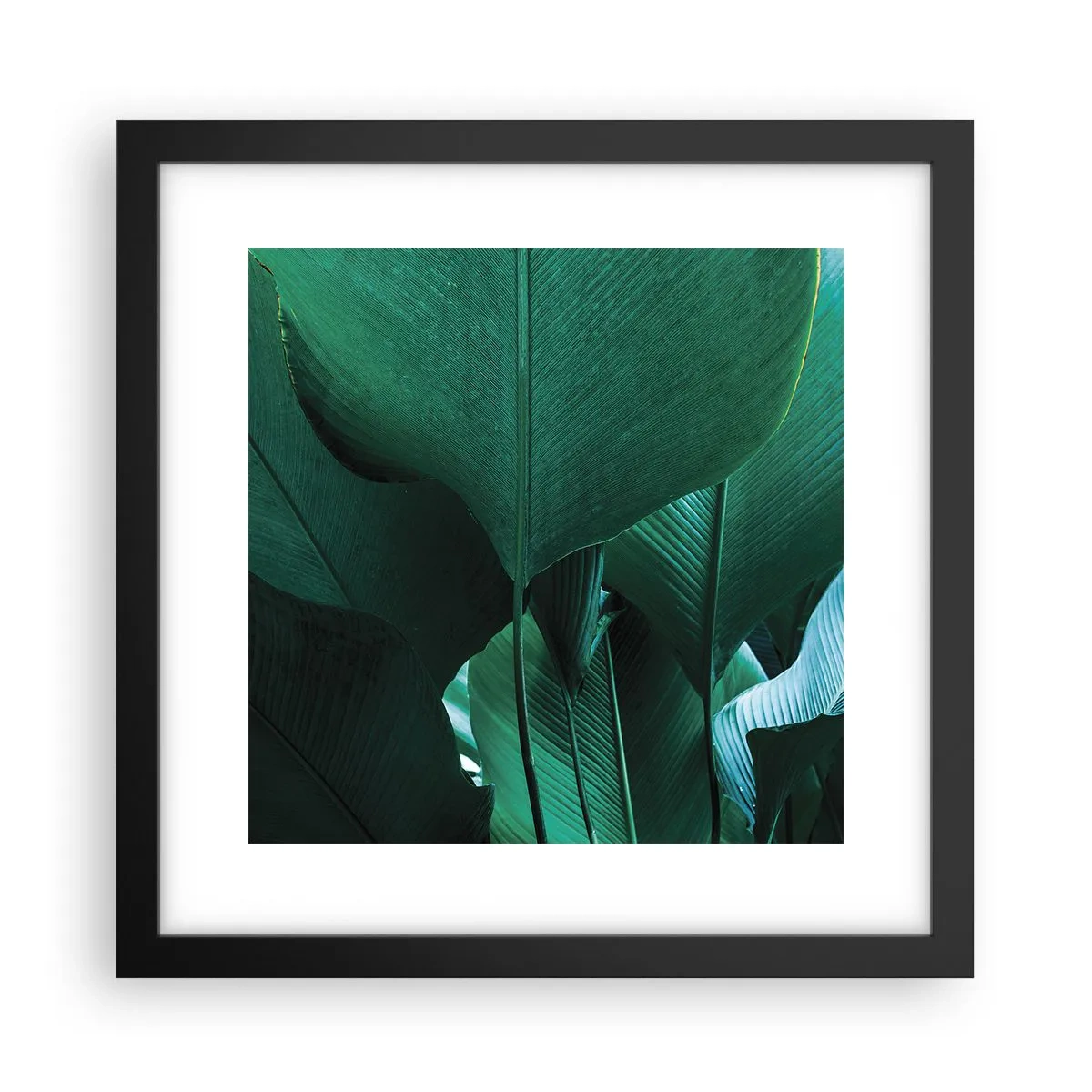 Póster en marco negro - De cara a la luz - 30x30 cm