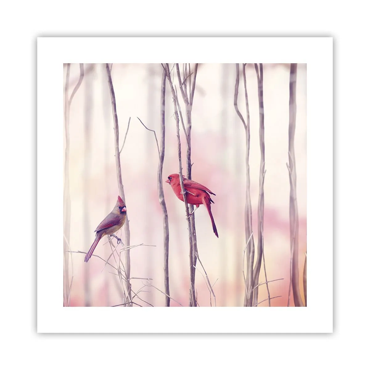 Póster - Historia de un bosque rosa - 40x40 cm