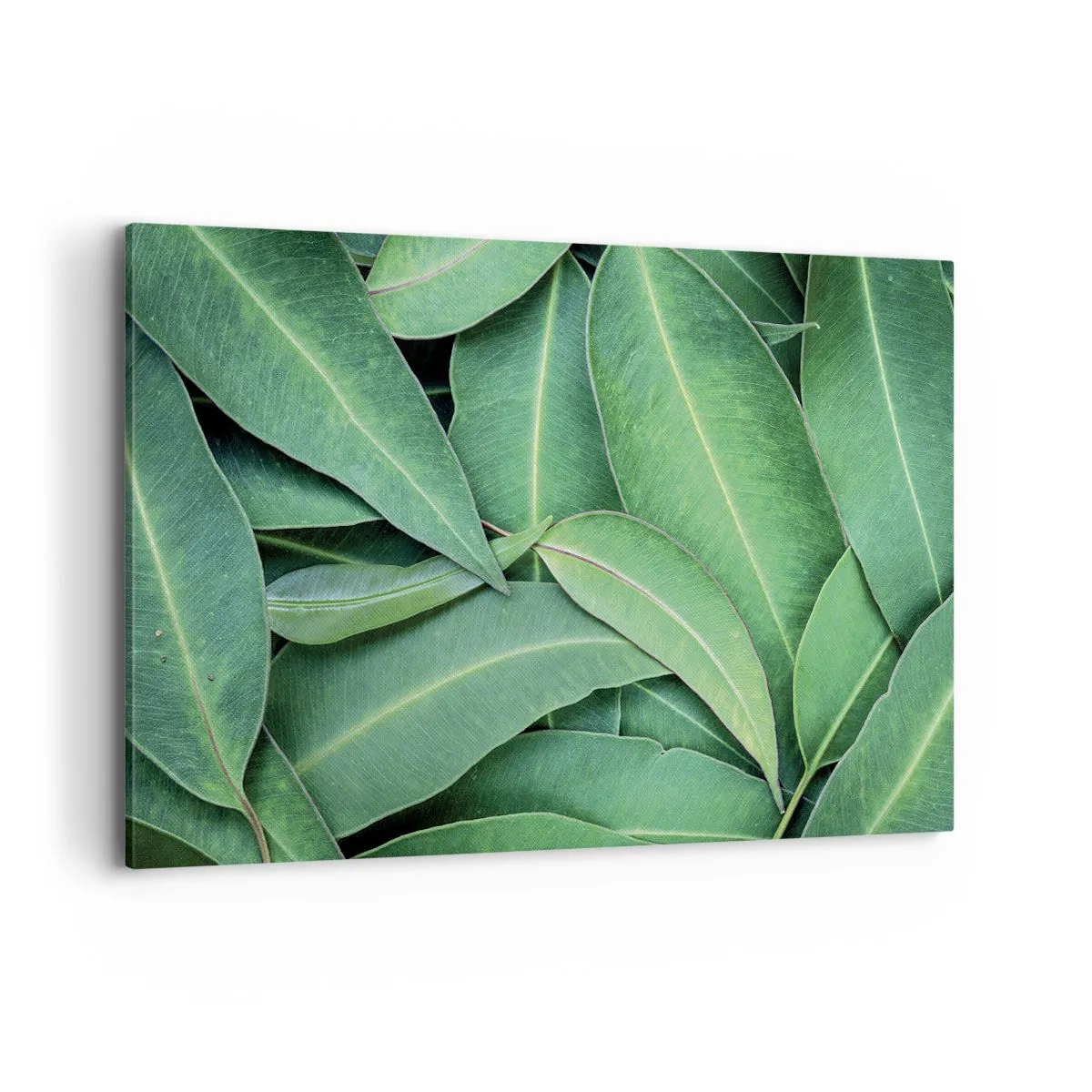 Cuadro sobre lienzo - Impresión de Imagen - Primer plano de hojas verdes que crean un patrón natural. - 120x80cm - Jugosidad y frescura - Decoración de pared moderna para salón y dormitorio ARTTOR