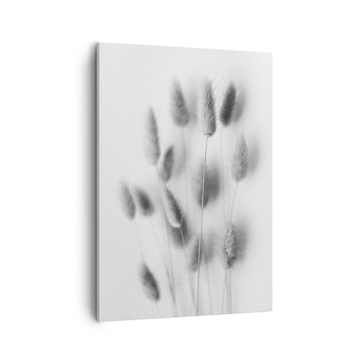 Cuadro sobre lienzo - Impresión de Imagen - Hierbas delicadas en tonos grises sobre un fondo blanco. - 50x70cm - Esponjas naturales - Decoración de pared moderna para salón y dormitorio ARTTOR