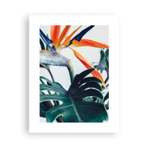 Póster - La jaula del pájaro colorido - 30x40 cm