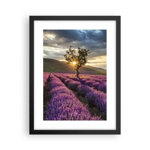 Póster en marco negro - Aroma en lila - 30x40 cm
