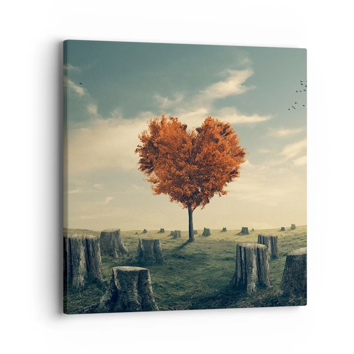 Cuadro sobre lienzo - Impresión de Imagen - Todavía hay esperanza - 40x40 cm