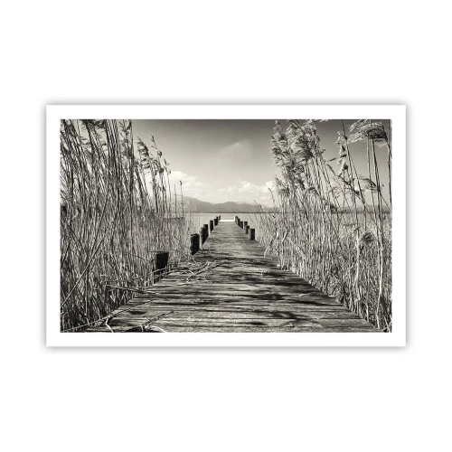 Póster - En la quietud de los juncos - 91x61 cm
