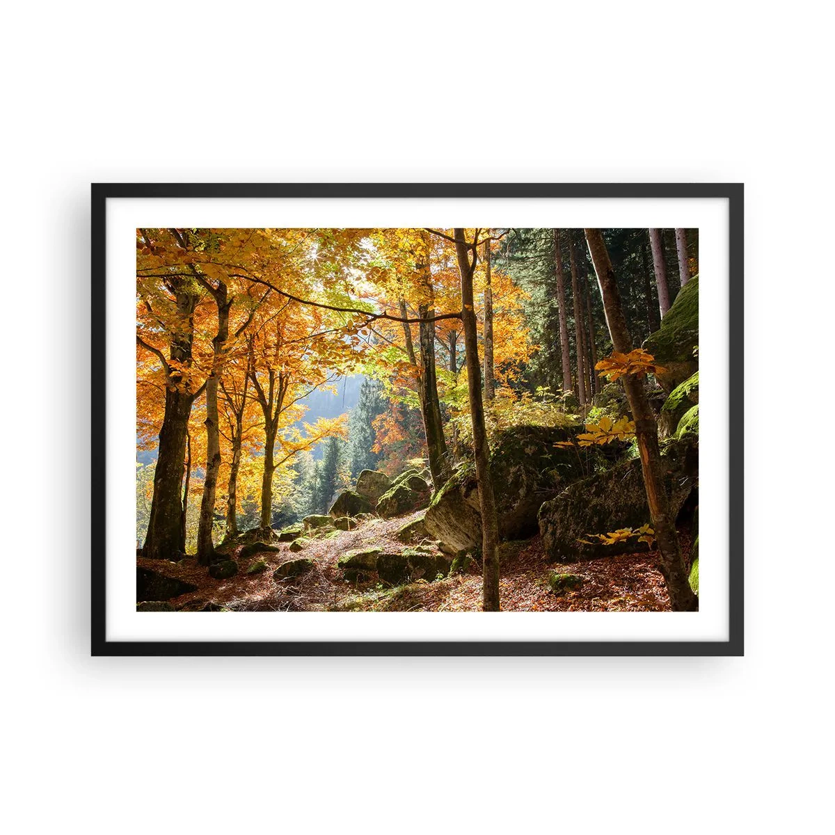 Póster en marco negro - Un bosque otoñal lleno de hojas doradas y luz solar. - 70x50cm - Tiempo de descanso - Decoración de pared moderna para salón y dormitorio ARTTOR