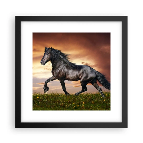 Póster en marco negro - Príncipe negro - 30x30 cm