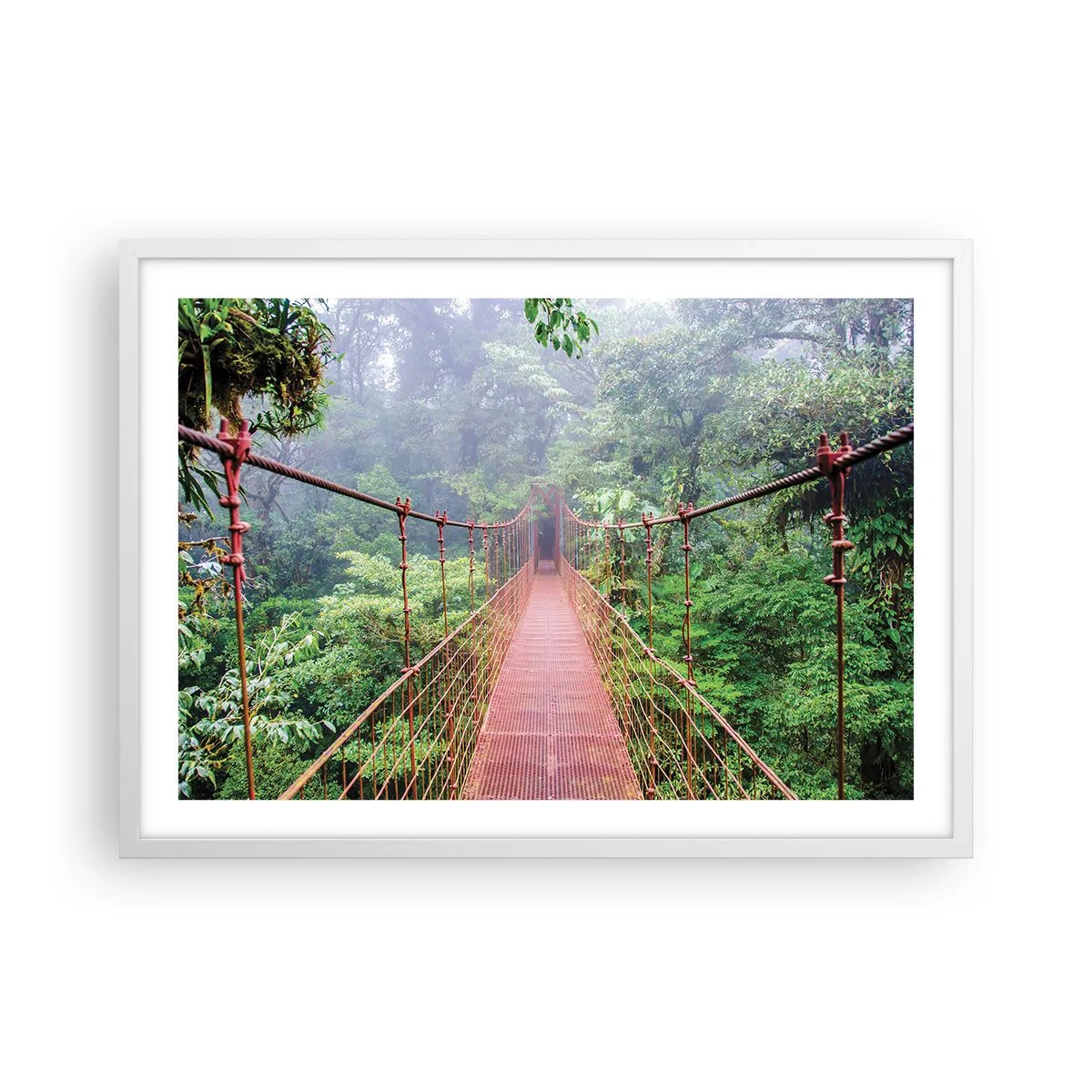 Póster en marco blanco - Suspendido sobre las copas - 70x50 cm