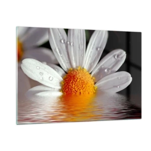 Cuadro sobre vidrio - Impresiones sobre Vidrio - Una margarita con gotas de agua reflejadas en el agua. - 120x80cm - El sol naciente de una margarita - Decoración de pared moderna para salón y dormitorio ARTTOR