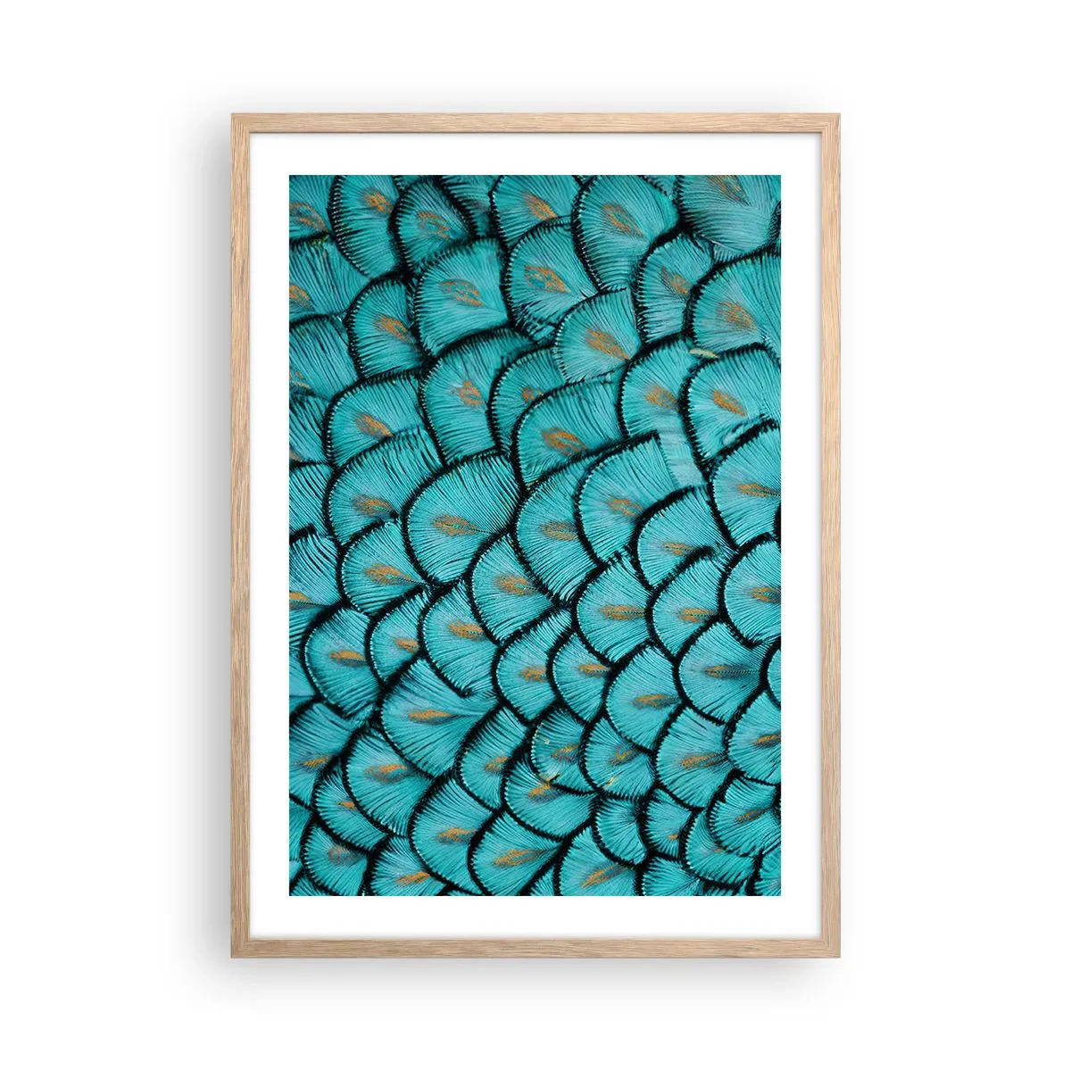 Póster en marco roble claro - La gran gala de las plumas - 50x70 cm