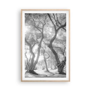 Póster en marco roble claro - En un olivar - 61x91 cm