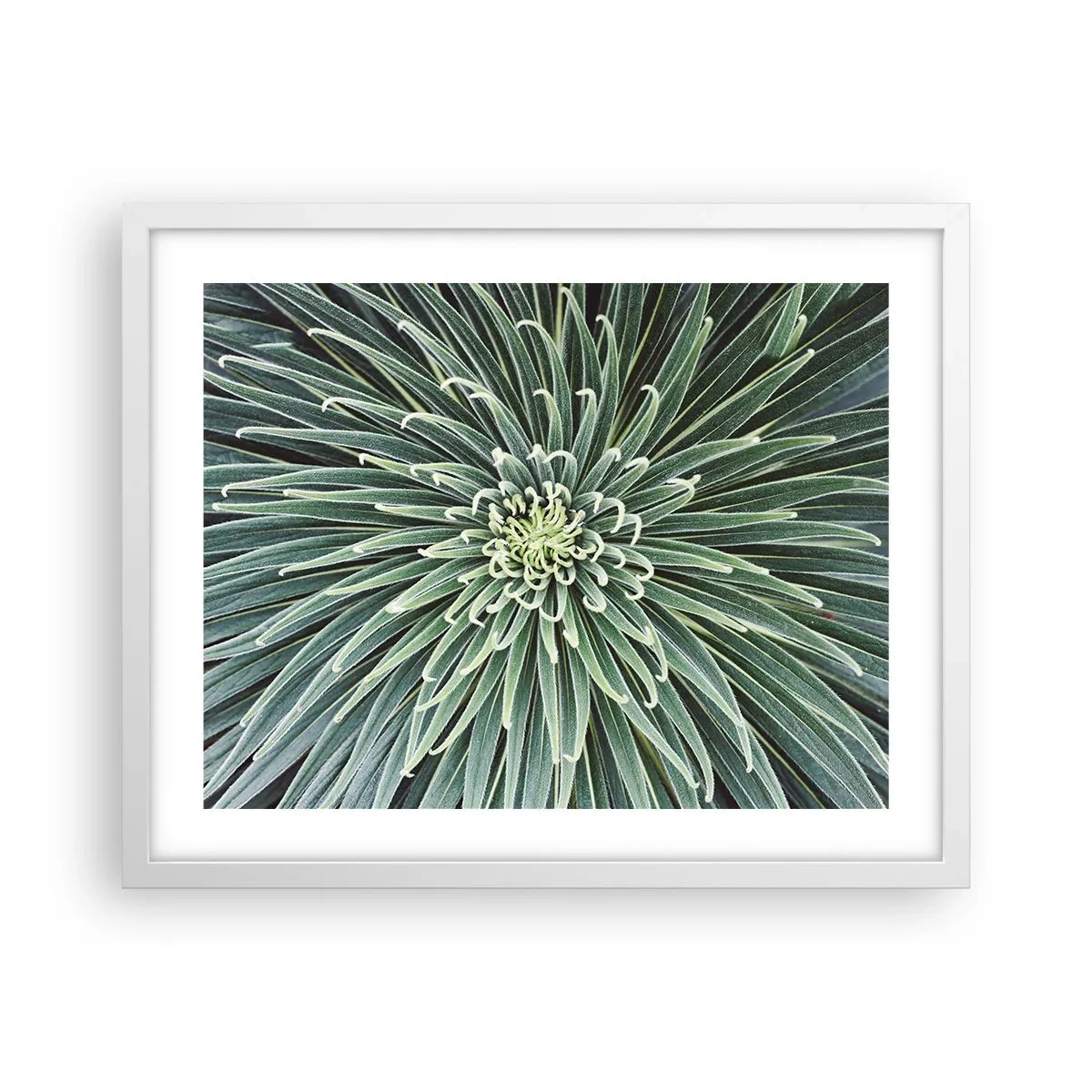 Póster en marco blanco - El nacimiento de una estrella - 50x40 cm