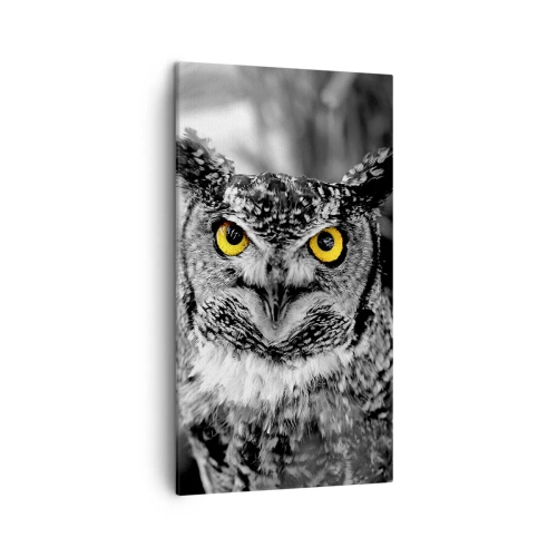 Cuadro sobre lienzo - Impresión de Imagen - Nada se puede ocultar - 45x80 cm