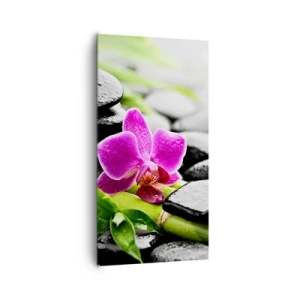 Cuadro sobre lienzo - Impresión de Imagen - En equilibrio pacífico - 65x120 cm